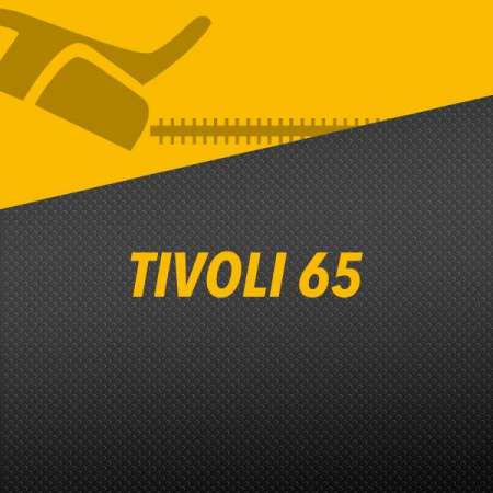 TIVOLI 65