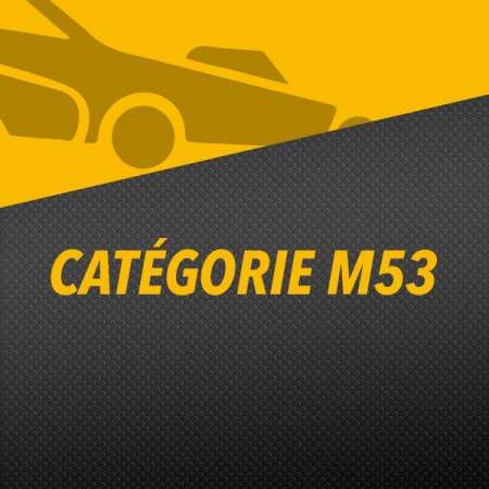 CATÉGORIE M53
