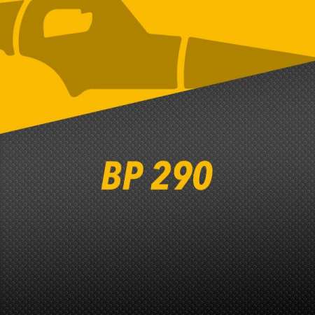 BP 290